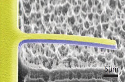 PMN-PT piezoelectric cantilever